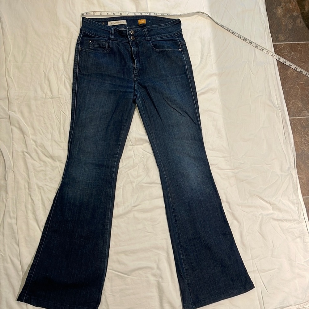Anthropologie Pilcro fit & flare jeans 28x30 1/2